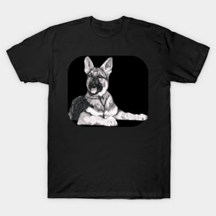 Alsatian alert, watching..... T-Shirt